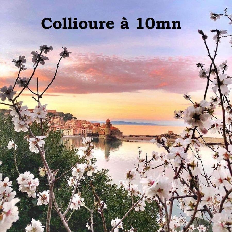 Maison Small Luxury Argelès-sur-Mer Exteriör bild